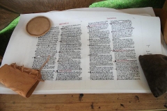 Domesday manuscript